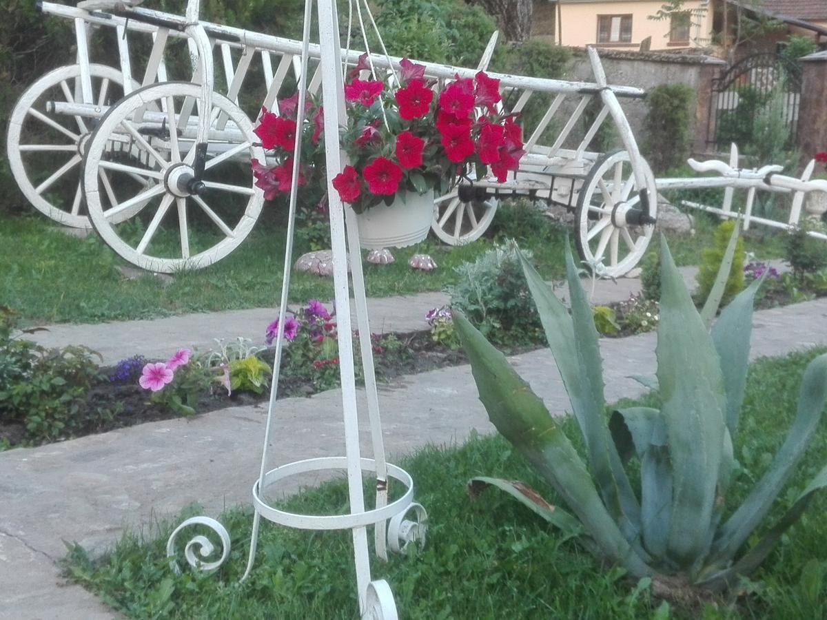 Casa De Vacanta Silvia Varmaga ภายนอก รูปภาพ
